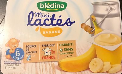 BLEDINA MINI LACTES BANANE DES 6MOIS 330G
