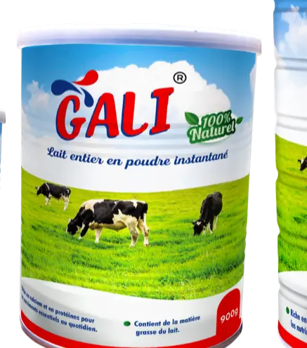 GALI LAIT EN POUDRE 900G