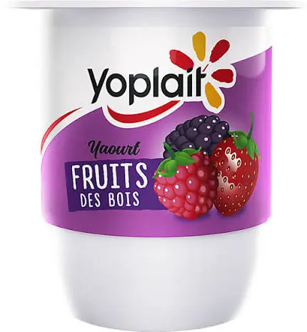 YOPLAIT YAOURT FRUITS DES BOIS 125G