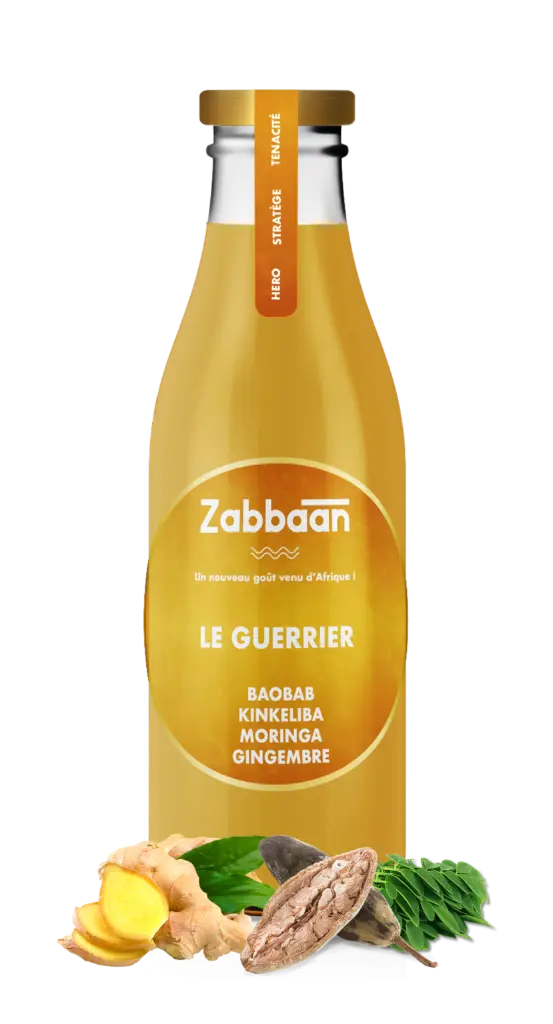 MAISON ZABBAAN LE GUERRIER BAOBAB-MORINGA-KINKELIBA-GINGEMBRE-PETIT COLA 330ML