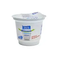 YAOURT HARRY DELICES 250G