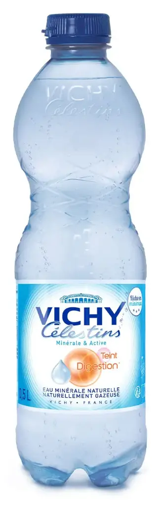 VICHY CELESTINS EAU MINERALE NATURELLE 0.5L 