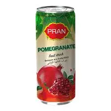 PRAN POMEGRANATE FRUIT DRINK 250ML