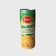 PRAN MANGO FRUIT DRINK 250ML