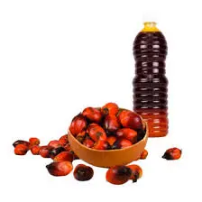 MME KONE KA TOULOU BLEN HORON