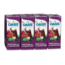 [067311016991] OASIS 100% JUS POMME RAISIN 200ML