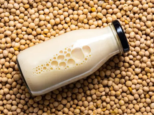 [8771278123323] SOY PRO LAIT DE SOJA 300ML